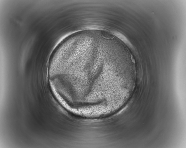 X0000086031228200704091126