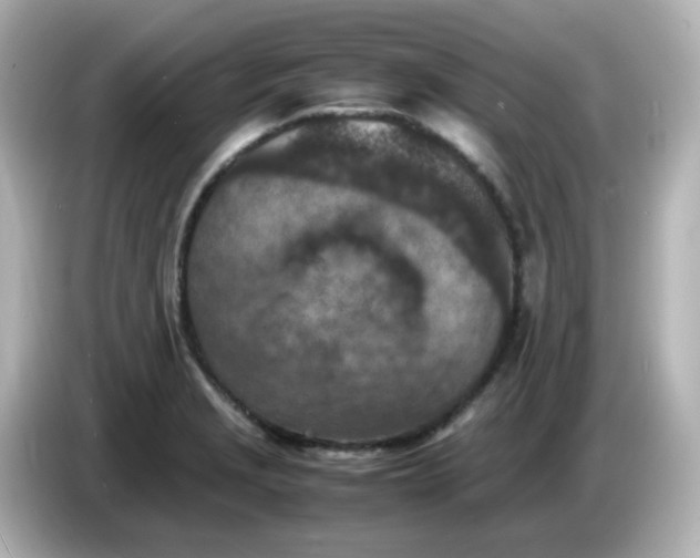 X0000086031229200704091126