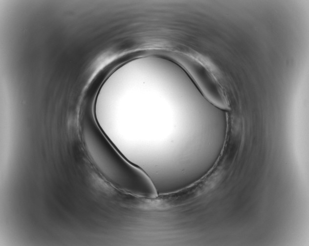 X0000086031230200704091126