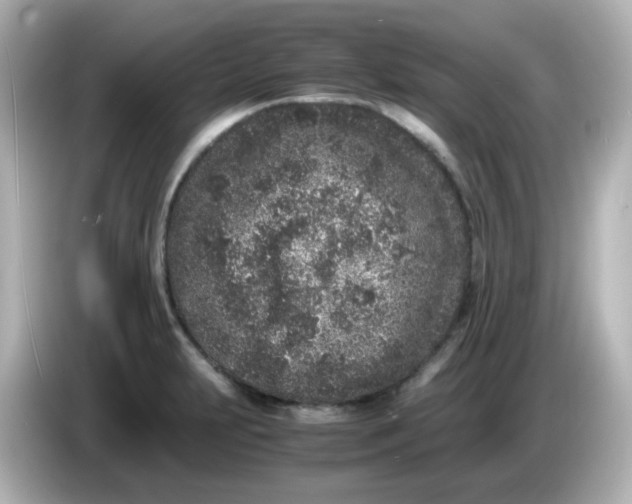 X0000086031231200704091126