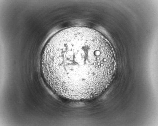 X0000086031235200704091126