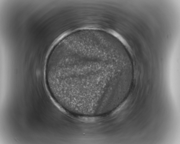 X0000086031237200704091126