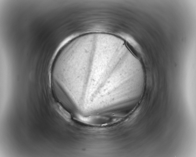 X0000086031238200704091126