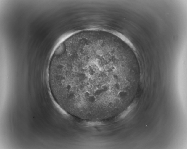 X0000086031239200704091126