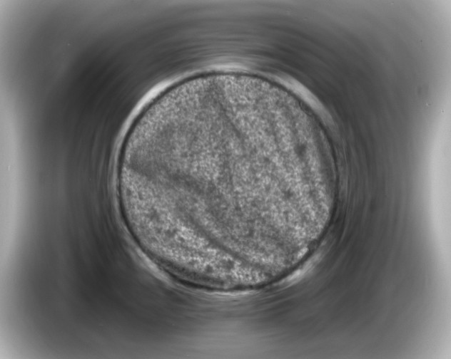 X0000086031240200704091126