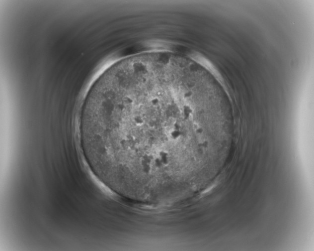 X0000086031243200704091126