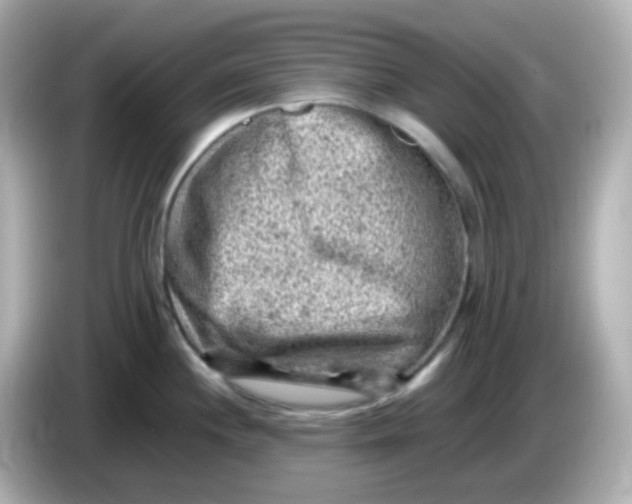 X0000086031244200704091126