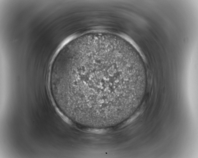 X0000086031245200704091126