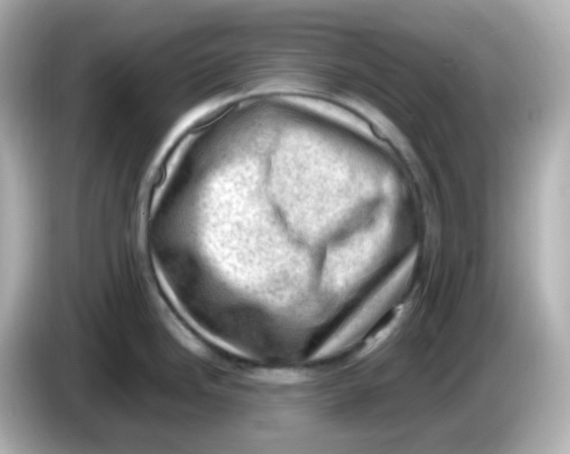 X0000086031246200704091126