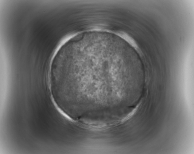 X0000086031247200704091126