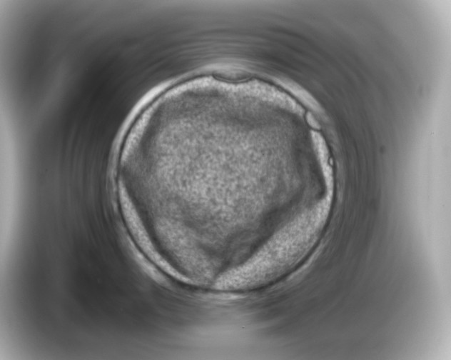 X0000086031248200704091126