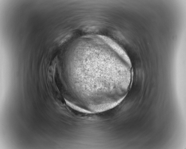 X0000086031250200704091126