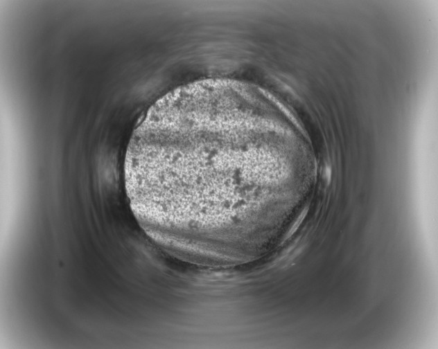 X0000086031252200704091126