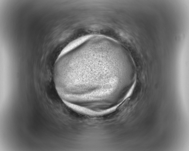 X0000086031253200704091126