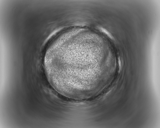 X0000086031256200704091126