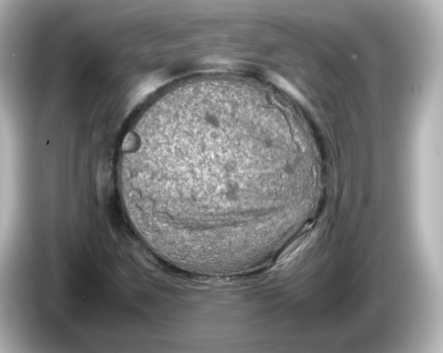 X0000086031259200704091126