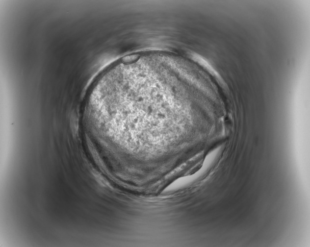 X0000086031260200704091126