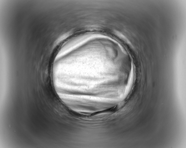 X0000086031261200704091126