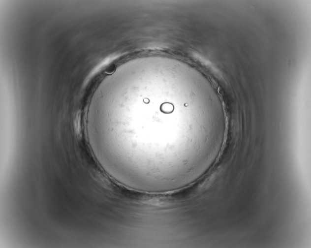 X0000086031262200704091126