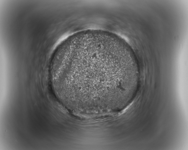 X0000086031263200704091126