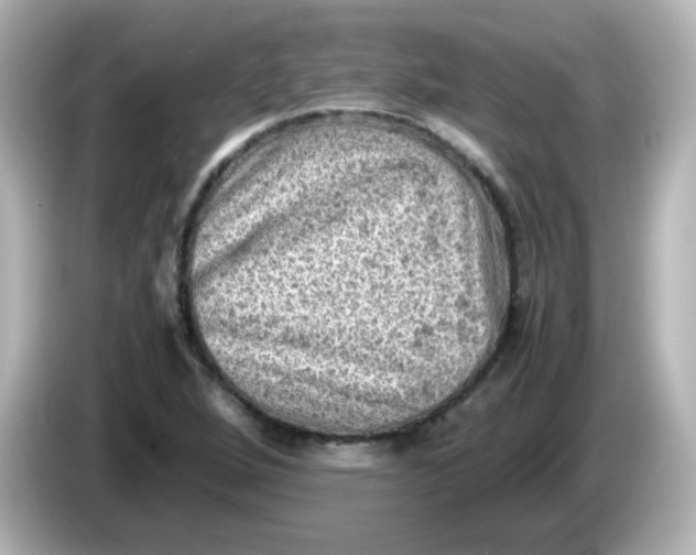 X0000086031264200704091126