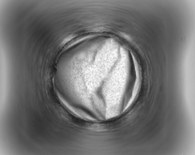 X0000086031265200704091126