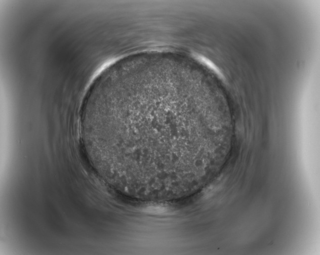 X0000086031267200704091126