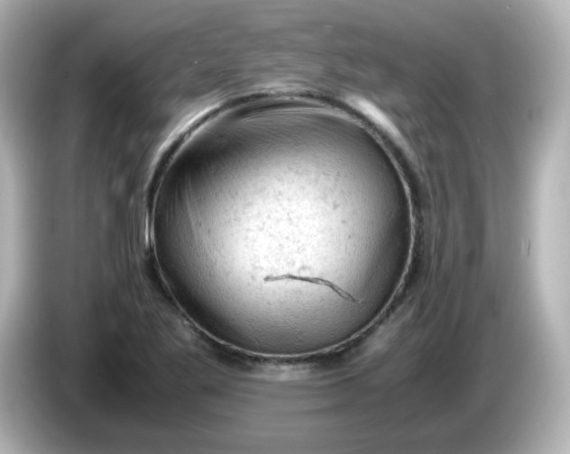 X0000086031269200704091126