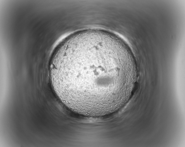 X0000086031271200704091126