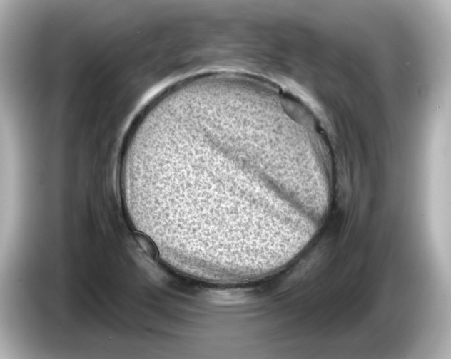 X0000086031272200704091126