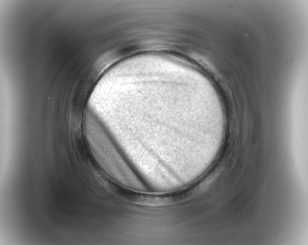 X0000086031273200704091125