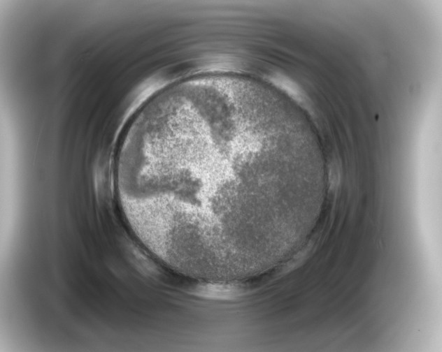 X0000086031274200704091125