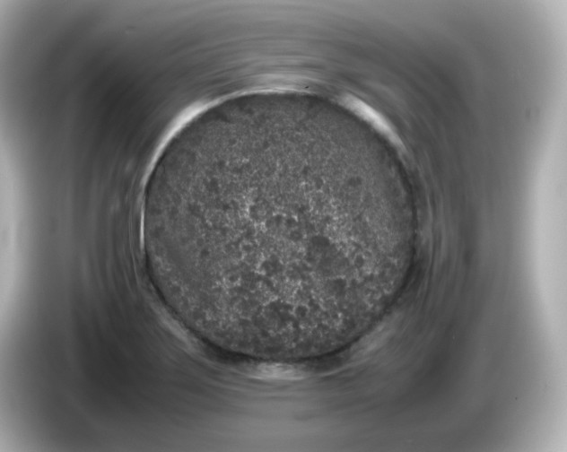 X0000086031275200704091125