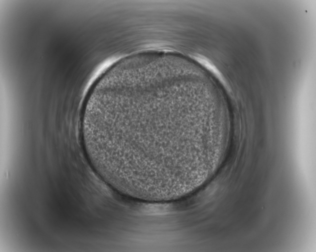 X0000086031277200704091125