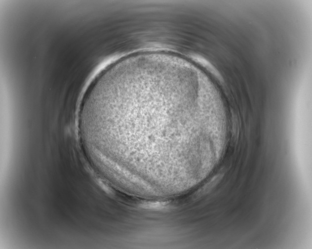 X0000086031278200704091125