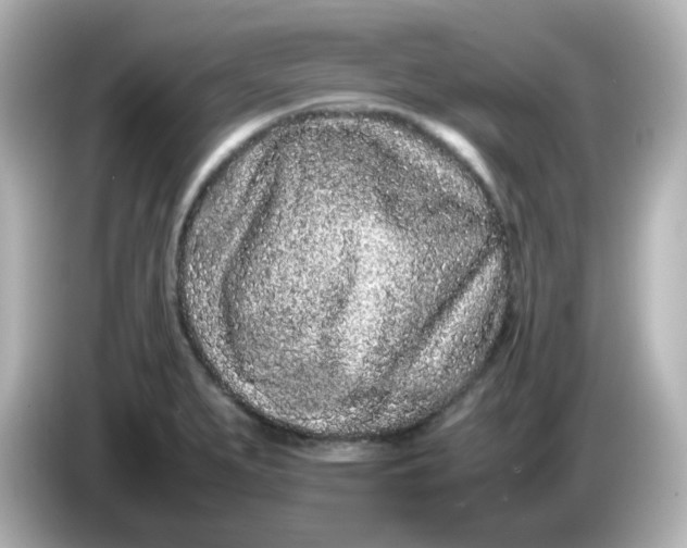 X0000086031279200704091125