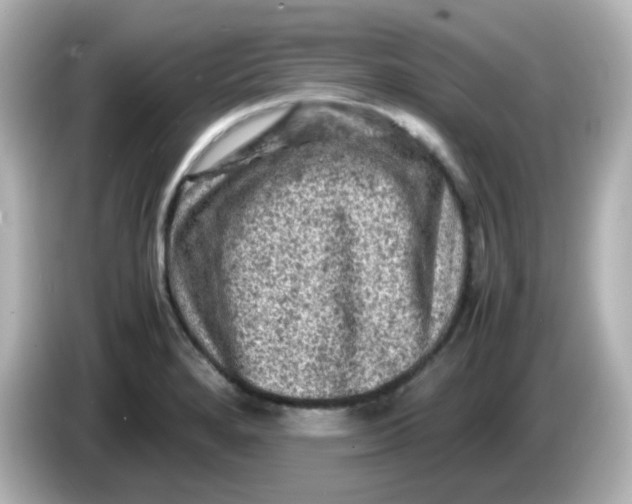 X0000086031280200704091125