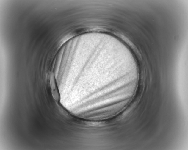 X0000086031281200704091125