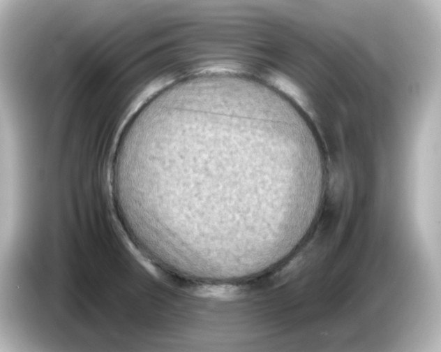 X0000086031282200704091125