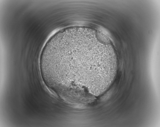 X0000086031283200704091125