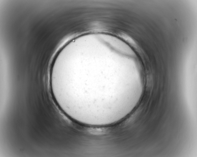 X0000086031286200704091125