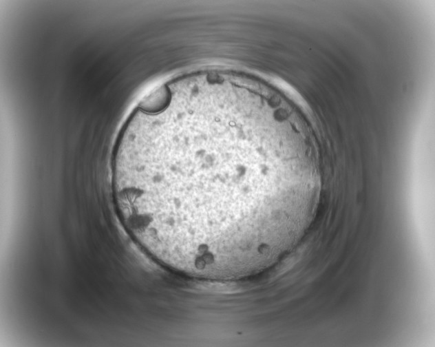 X0000086031287200704091125