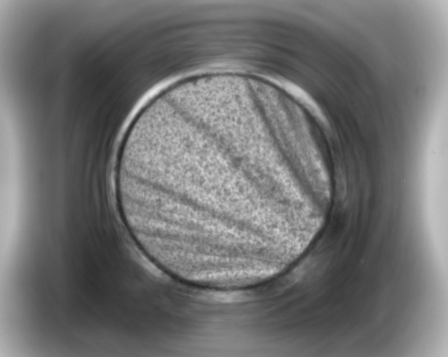 X0000086031288200704091125