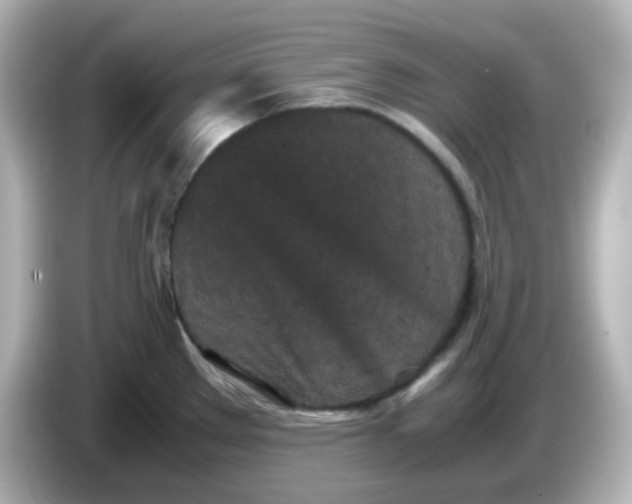 X0000086031289200704091125