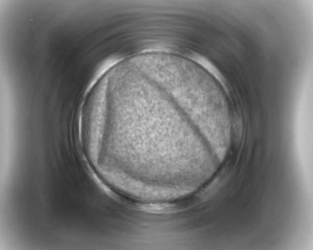 X0000086031290200704091125