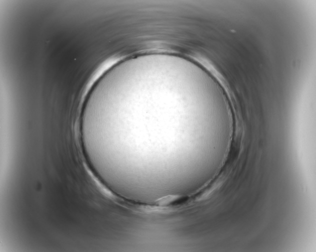 X0000086031293200704091125