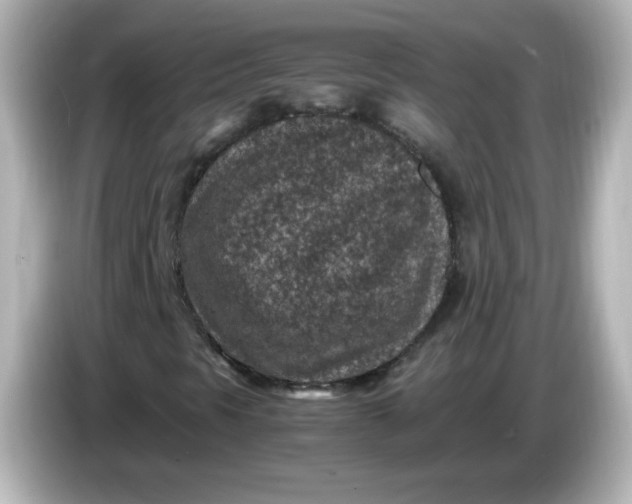 X0000086031297200704091125