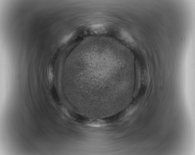 X0000086031298200704091125