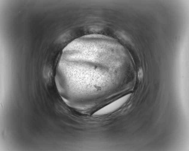 X0000086031299200704091125