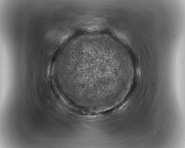 X0000086031300200704091125